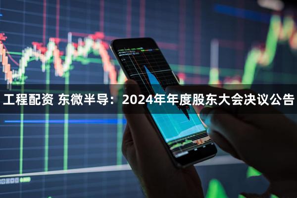 工程配资 东微半导：2024年年度股东大会决议公告