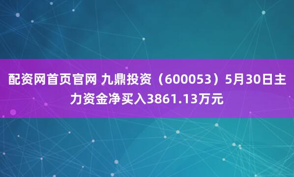 配资网首页官网 九鼎投资（600053）5月30日主力资金净买入3861.13万元